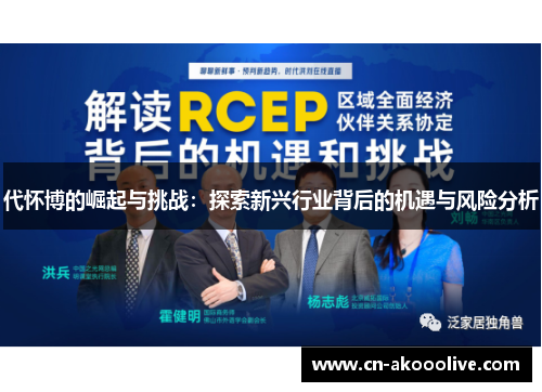 代怀博的崛起与挑战：探索新兴行业背后的机遇与风险分析